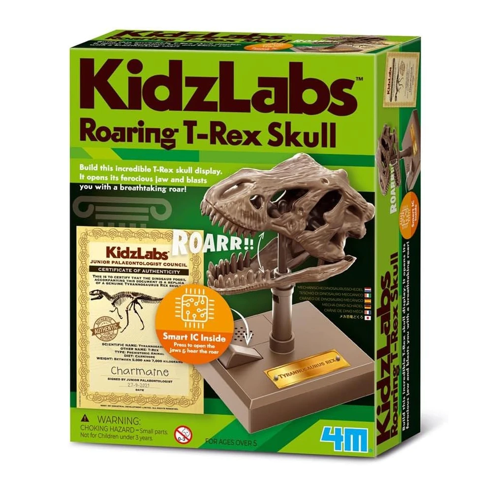 KidzLabs - Roaring T-Rex Skull 4M KidzLabs - Roaring T-Rex Skull -Toys And Tale Store 300
