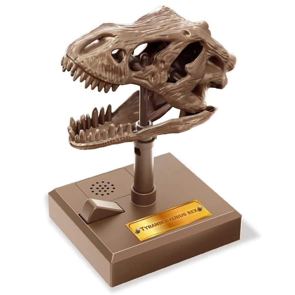 KidzLabs - Roaring T-Rex Skull 4M KidzLabs - Roaring T-Rex Skull -Toys And Tale Store 301