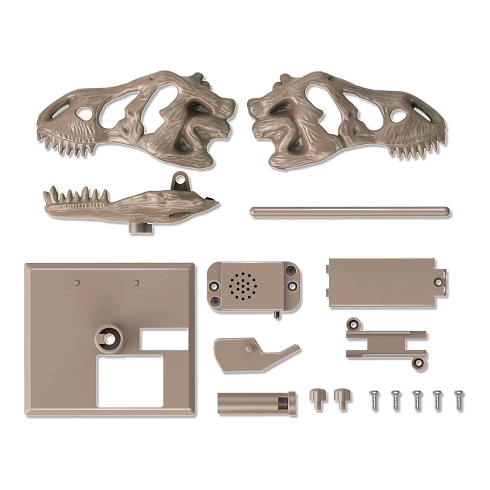KidzLabs - Roaring T-Rex Skull 4M KidzLabs - Roaring T-Rex Skull -Toys And Tale Store 302