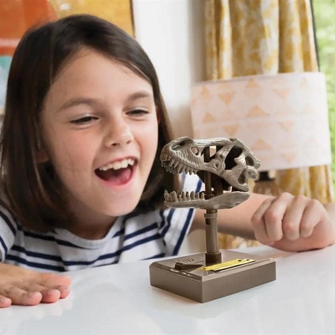 KidzLabs - Roaring T-Rex Skull 4M KidzLabs - Roaring T-Rex Skull -Toys And Tale Store 303