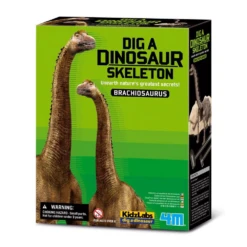 4M Dig A Dinosaur - Brachiosaurus