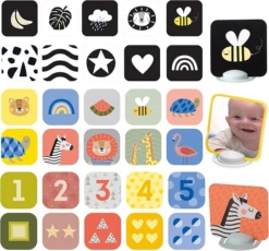 TAF Toys My 1st Tummy Time Cards