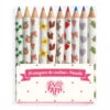 Djeco 10 Aiko Mini Coloured Pencils -Toys And Tale Store DJ3725