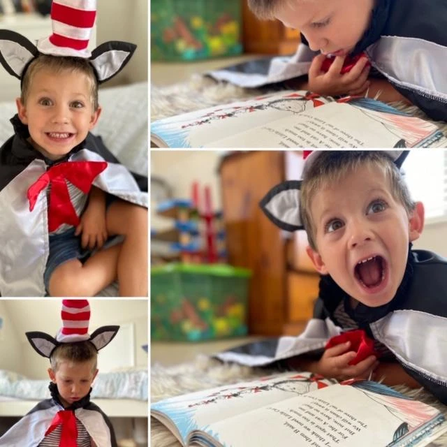 Cape - Cat in the Hat Cape - Cat In The Hat -Toys And Tale Store cat c7793ec3 d204 42f9 b81b 55a92cf256b8